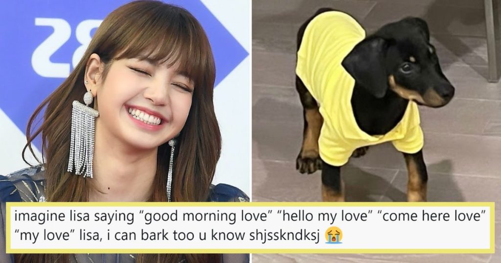 10+ Réactions les plus hilarantes à la présentation par Lisa de BLACKPINK d’un nouveau chien à la famille