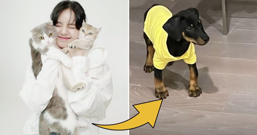 Lisa de BLACKPINK présente le nouveau membre de la « famille L » : un chien.
